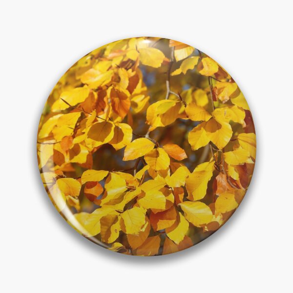 Item preview, Autumn leaves, leaf color, beech, tree designed and sold by Torsten  Krüger.