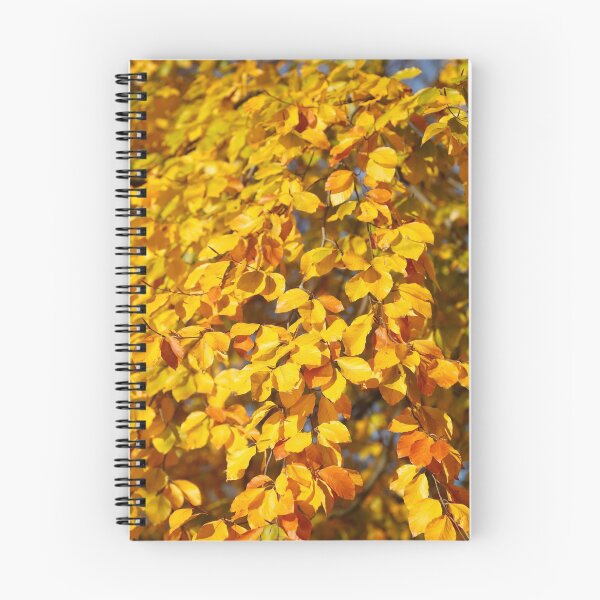 Item preview, Autumn leaves, leaf color, beech, tree designed and sold by Torsten  Krüger.