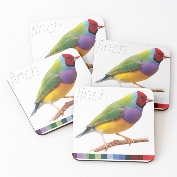Item preview, Mens Finch Colors T-Shirt designed and sold by Brianconner.
