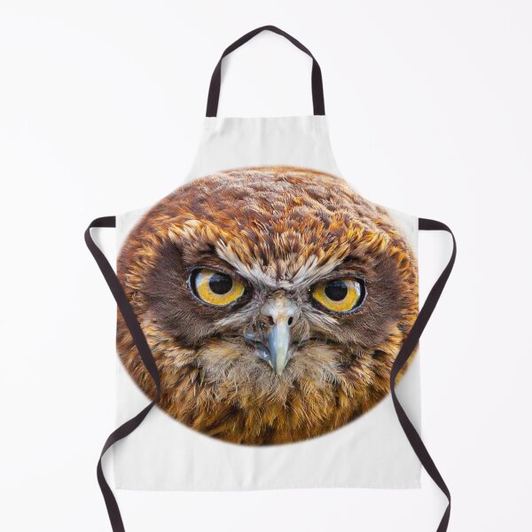 Item preview, Boobook stare designed and sold by Dalyndigital Photography.