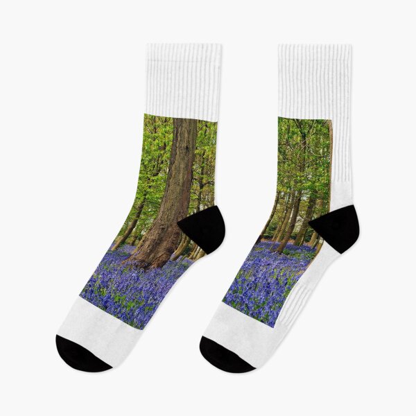 Item preview, Bluebells Bluebell Woods Greys Court Oxfordshire UK designed and sold by AndyEvansPhotos.