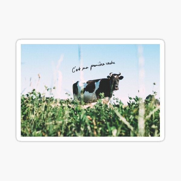 Vache Stickers Redbubble