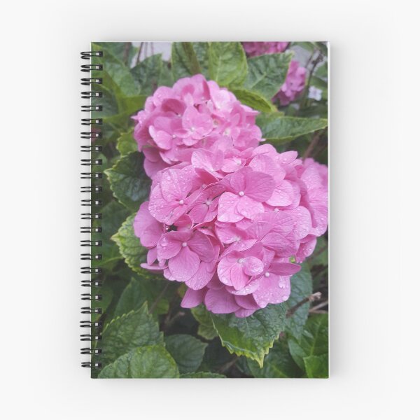 Item preview, raindrop on a pink flower designed and sold by mandelcreation.