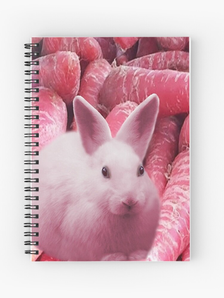 real pink bunny