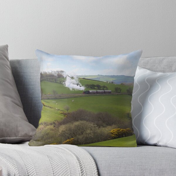 Item preview, Devon Railway Poster designed and sold by andrewroland.
