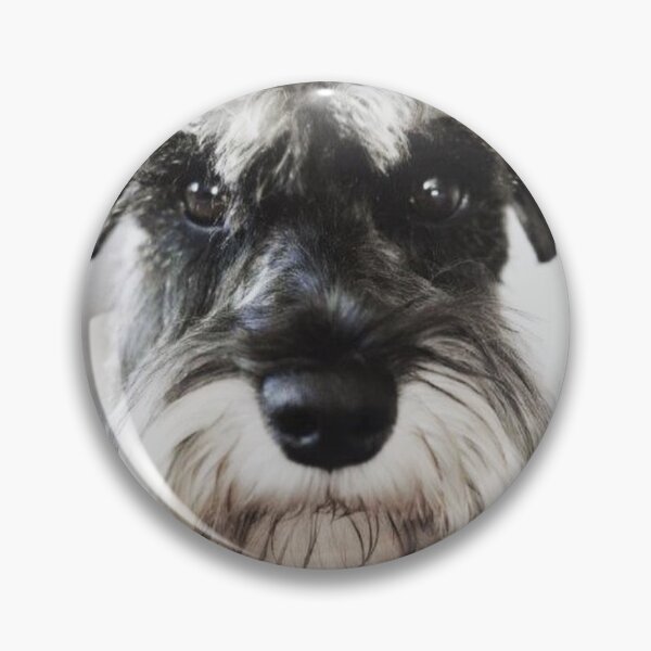 Item preview, Schnauzer dog full face pets dogs cute puppy designed and sold by Coolstuff4you71.