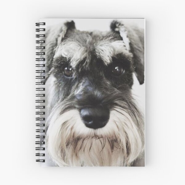 Item preview, Schnauzer dog full face pets dogs cute puppy designed and sold by Coolstuff4you71.