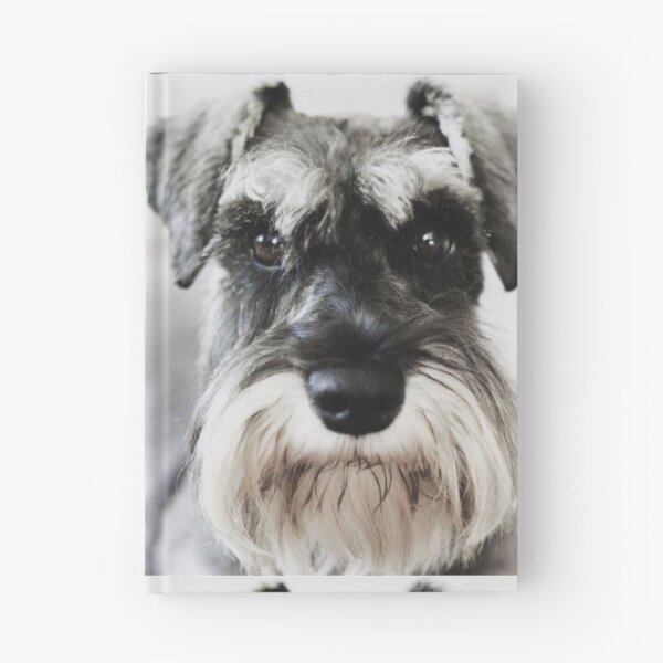 Item preview, Schnauzer dog full face pets dogs cute puppy designed and sold by Coolstuff4you71.