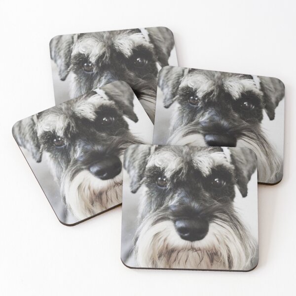 Item preview, Schnauzer dog full face pets dogs cute puppy designed and sold by Coolstuff4you71.