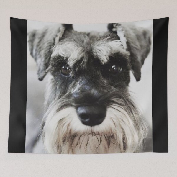 Item preview, Schnauzer dog full face pets dogs cute puppy designed and sold by Coolstuff4you71.