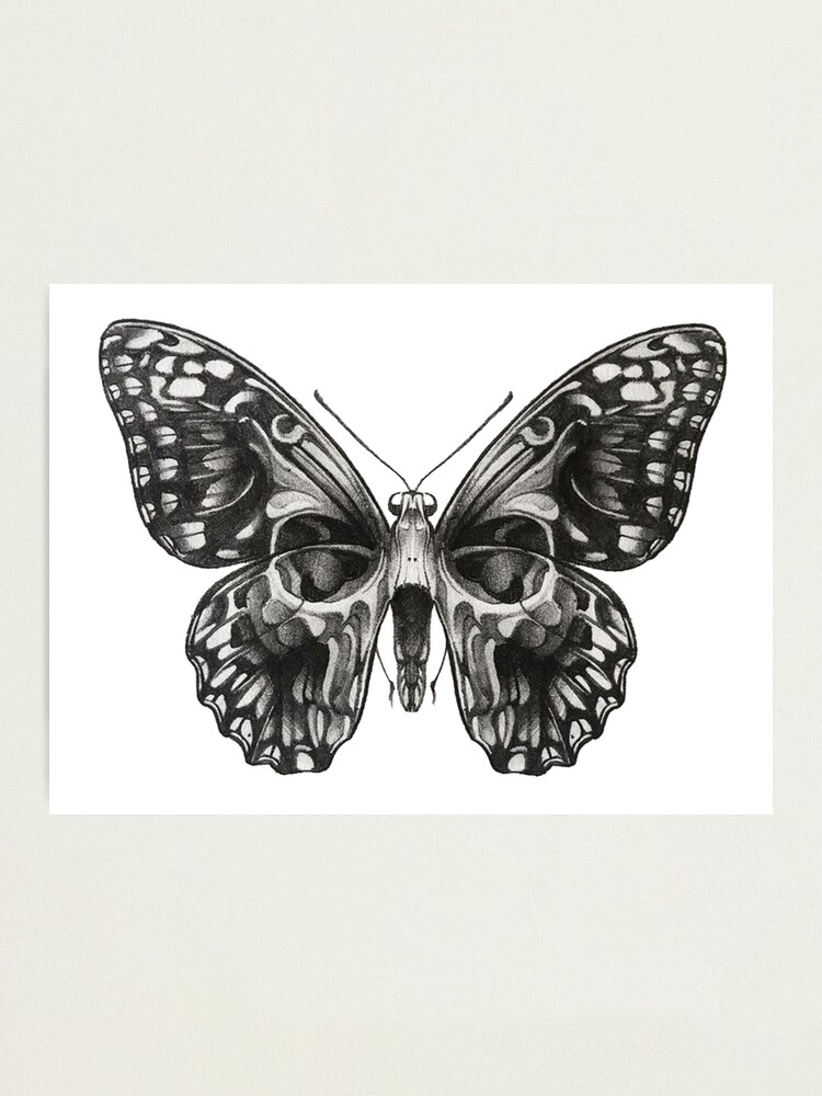 銅版画大作品　Butterfly　effect 51PHUS0qd3L._UF1000,1000_QL80_.jpg