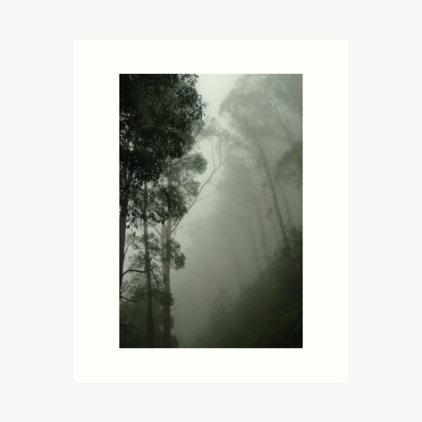 Item preview, Joe Mortelliti Gallery - Mist on the Black Spur, near Marysville, Victoria, Australia. designed and sold by thisisaustralia.