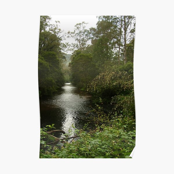 Joe Mortelliti Gallery - Jamieson River, Alpine Victoria, Australia. Poster