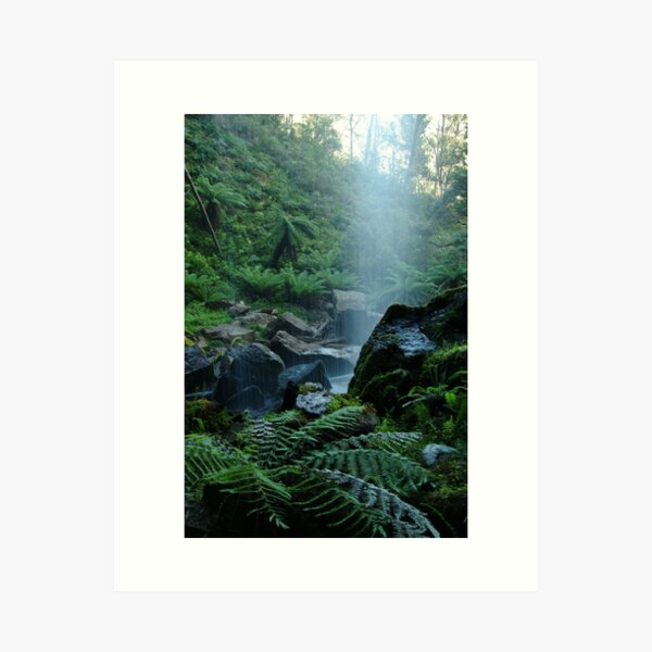 Item preview, Joe Mortelliti Gallery - Bindaree Falls on Mt Stirling, alpine Victoria, Australia. designed and sold by thisisaustralia.
