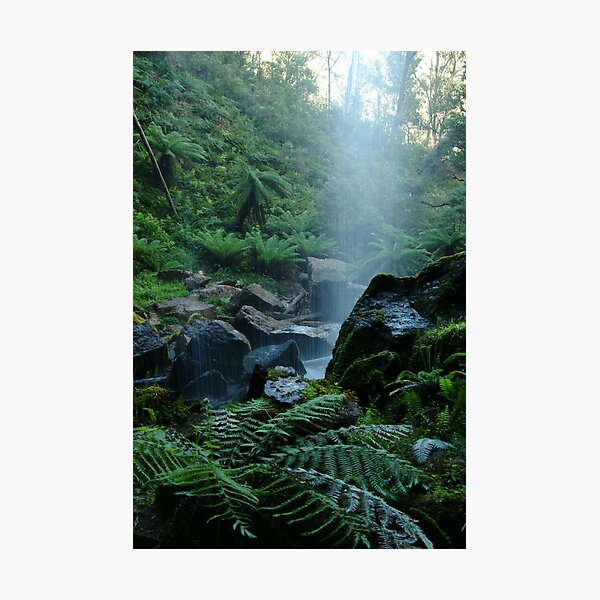 Item preview, Joe Mortelliti Gallery - Bindaree Falls on Mt Stirling, alpine Victoria, Australia. designed and sold by thisisaustralia.