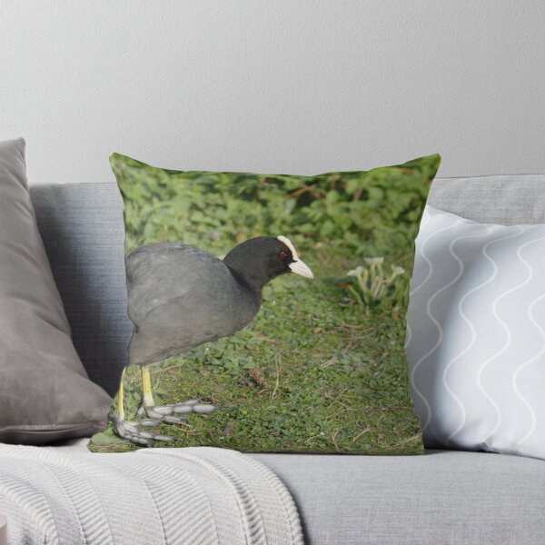 Item preview, British Coot designed and sold by Adrian Wale.