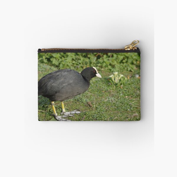Item preview, British Coot designed and sold by Adrian Wale.