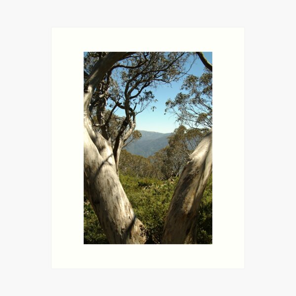 Item preview, Joe Mortelliti Gallery - Mt Buller view from Bluff Hut on Mt Stirling, alpine Victoria, Australia. designed and sold by thisisaustralia.