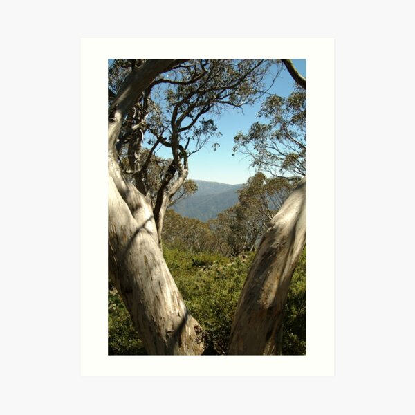 Joe Mortelliti Gallery - Mt Buller view from Bluff Hut on Mt Stirling, alpine Victoria, Australia. Art Print