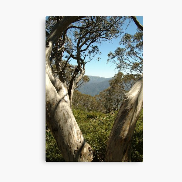 Item preview, Joe Mortelliti Gallery - Mt Buller view from Bluff Hut on Mt Stirling, alpine Victoria, Australia. designed and sold by thisisaustralia.