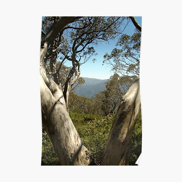 Joe Mortelliti Gallery - Mt Buller view from Bluff Hut on Mt Stirling, alpine Victoria, Australia. Poster
