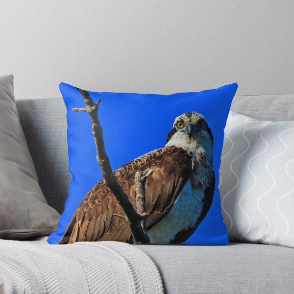 Item preview, Staring Down the Paparazzi designed and sold by Michiale.