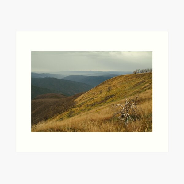 Item preview, Joe Mortelliti Gallery - View from the Blue Rag Range, alpine Victoria, alpine Victoria, Australia. designed and sold by thisisaustralia.