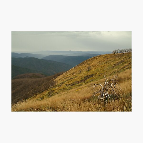 Item preview, Joe Mortelliti Gallery - View from the Blue Rag Range, alpine Victoria, alpine Victoria, Australia. designed and sold by thisisaustralia.