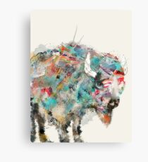 into the wild the buffalo Canvas Print