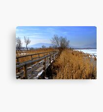 Winter Canvas Print