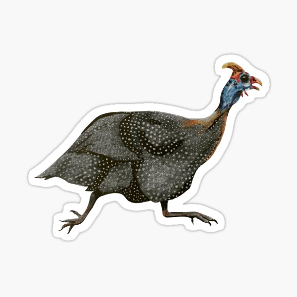Item preview, Guinea Fowl designed and sold by CandissD.