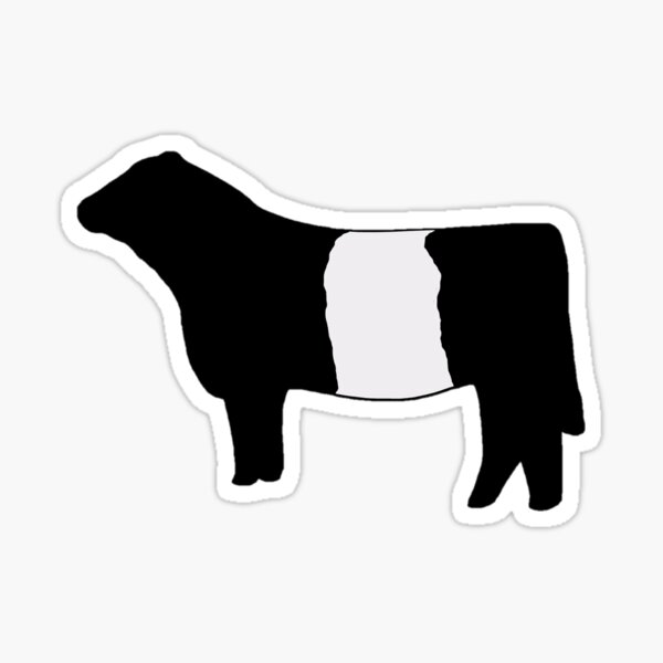 Item preview, Belted Galloway Cow designed and sold by taylorrowan.
