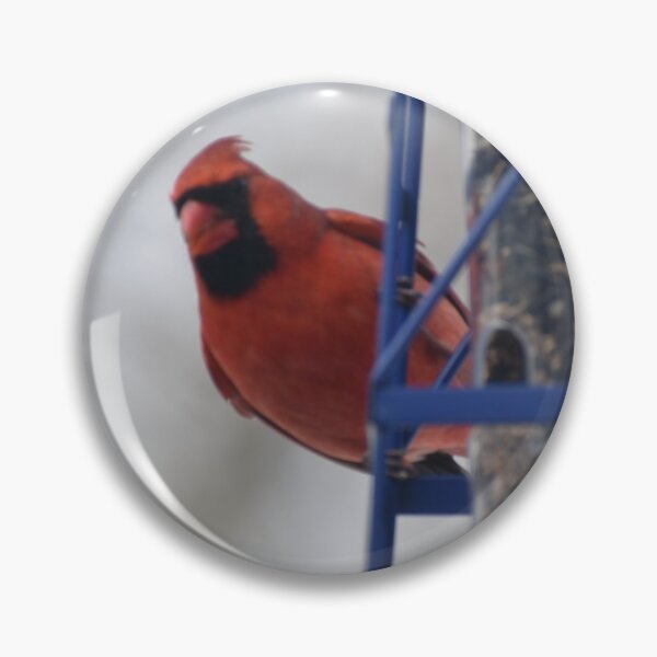 Item preview, I am always with you Cardinal on feeder designed and sold by Raineylanes.