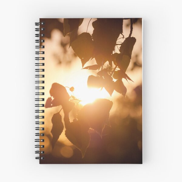 Item preview, Sunset trough leaves designed and sold by taniasofia.