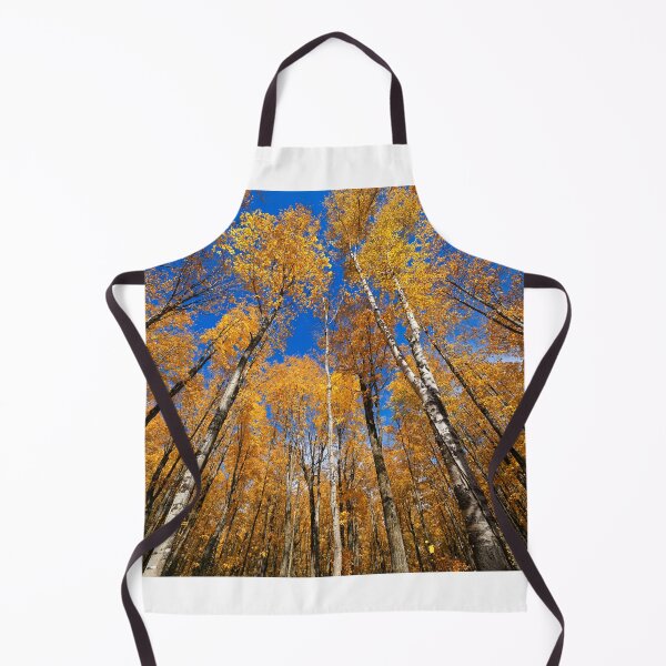 Item preview, "Up Between the Birches" designed and sold by RCNaturephotos.