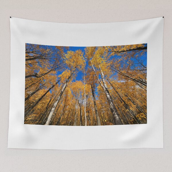 Item preview, "Up Between the Birches" designed and sold by RCNaturephotos.