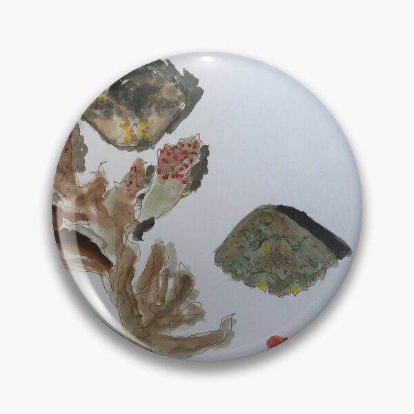 Item preview, Tresco beach treasures designed and sold by ANN KELLEY.