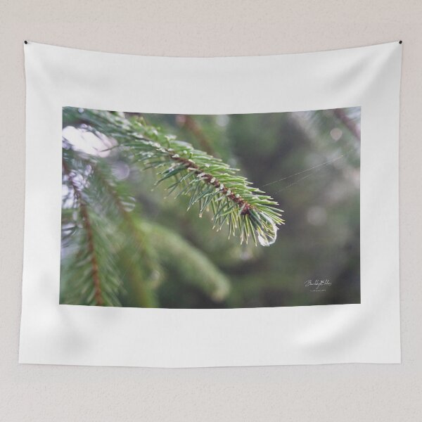 Item preview, Pinetree with waterdrop and spiderweb designed and sold by beachbyehlers.