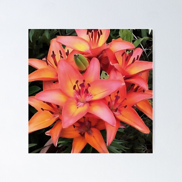 Item preview, Artisitc Coral Colored Garden Lilies designed and sold by taiche.
