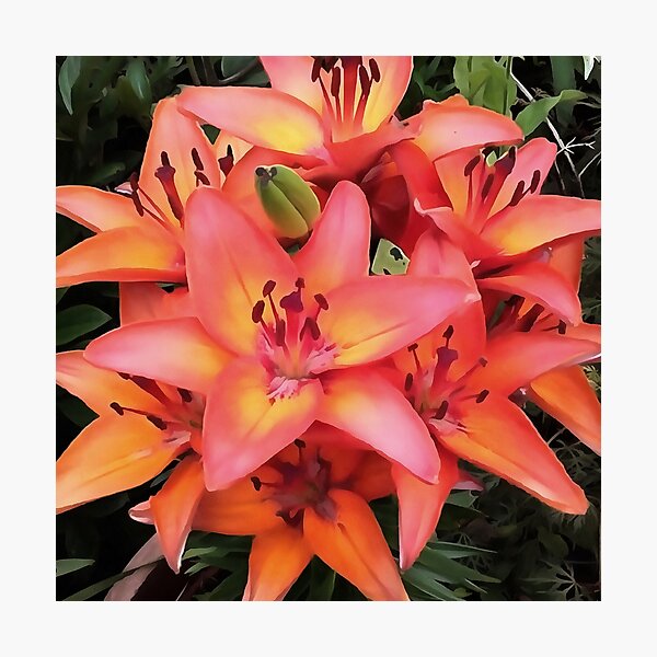 Item preview, Artisitc Coral Colored Garden Lilies designed and sold by taiche.