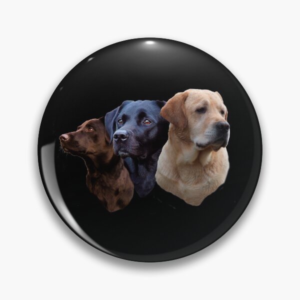 Item preview, LABRADOR RETRIEVERS, BLACK,GOLDEN and CHOCOLATE designed and sold by Danicus666.