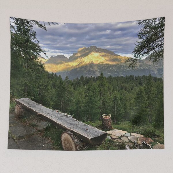 Item preview, Alpine Path designed and sold by Dawn van Doorn.