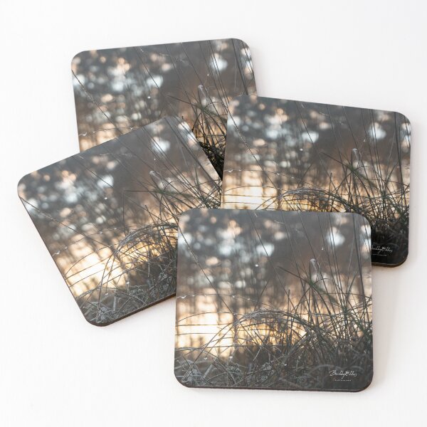 Closeup of grass Coasters (Set of 4)