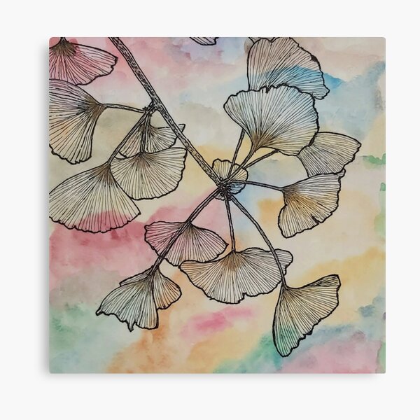 Ginkgo Biloba - Medicinal plants - Chinese medicin Canvas Print