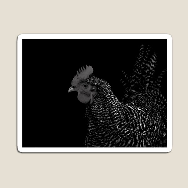 Item preview, Black and White Rooster designed and sold by Aleesha Haigwood.