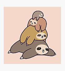 Sloth Stack Photographic Print