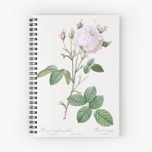 Item preview, Pale Pink Rose - Botanical Illustration designed and sold by SALON DES ARTS.