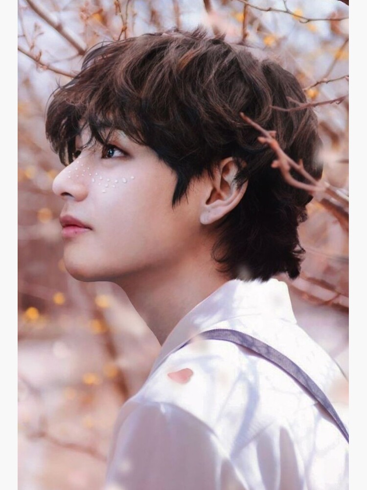 BTS Kim Taehyung - V