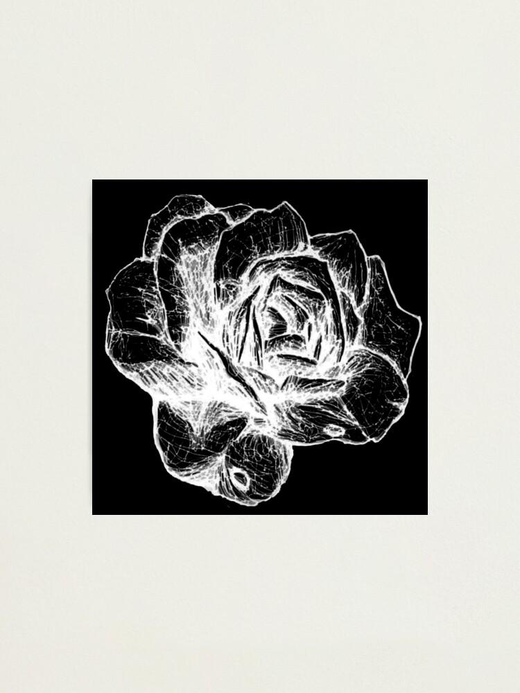 Impression photo « Dessin Trait Rose Encrée Blanche Sur Fond Noir », par  Tritonn204 | Redbubble