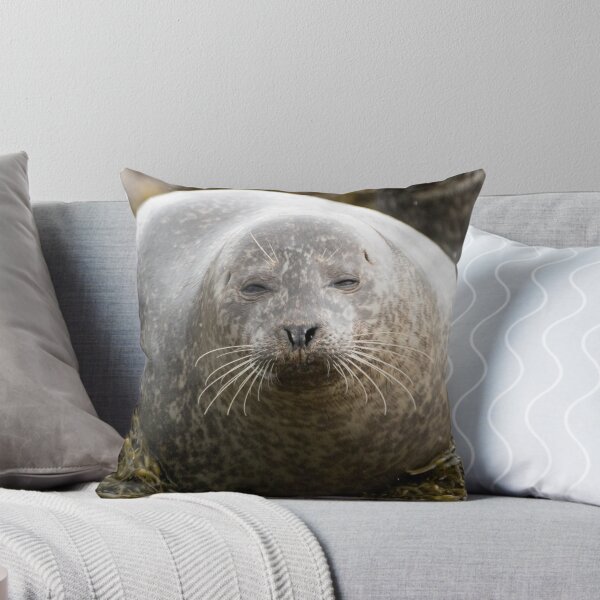 Item preview, Grey seal designed and sold by pietrofoto.